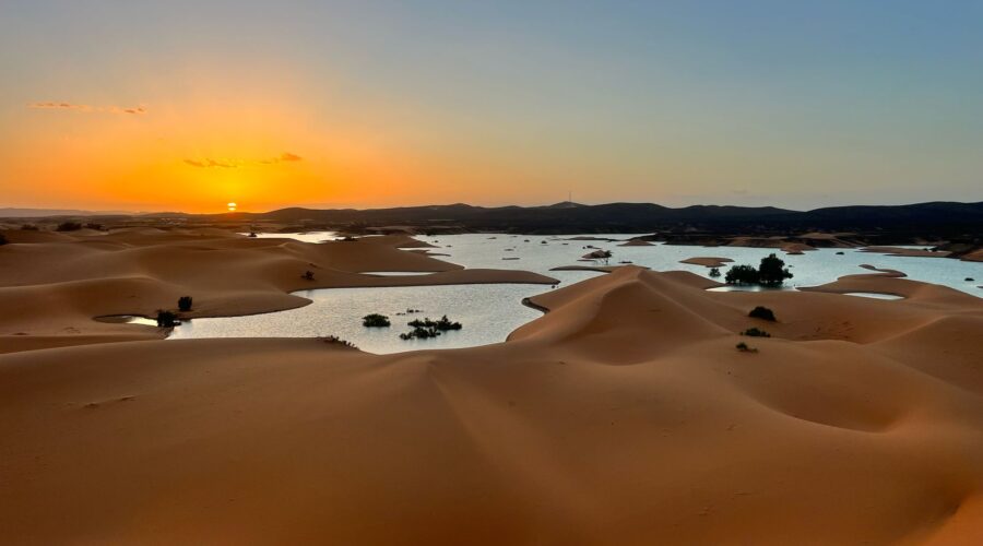 WhatsApp Image 2025-03-01 at 12.00.26 AM