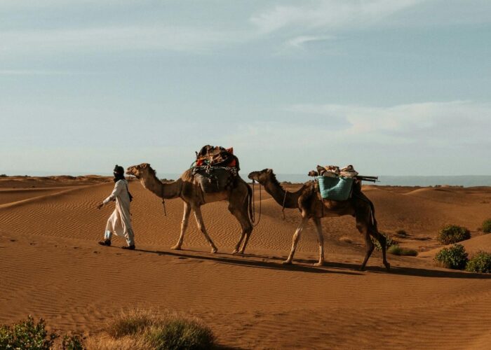 WhatsApp Image 2025-04-15 at 23.33.00_68ab8e18